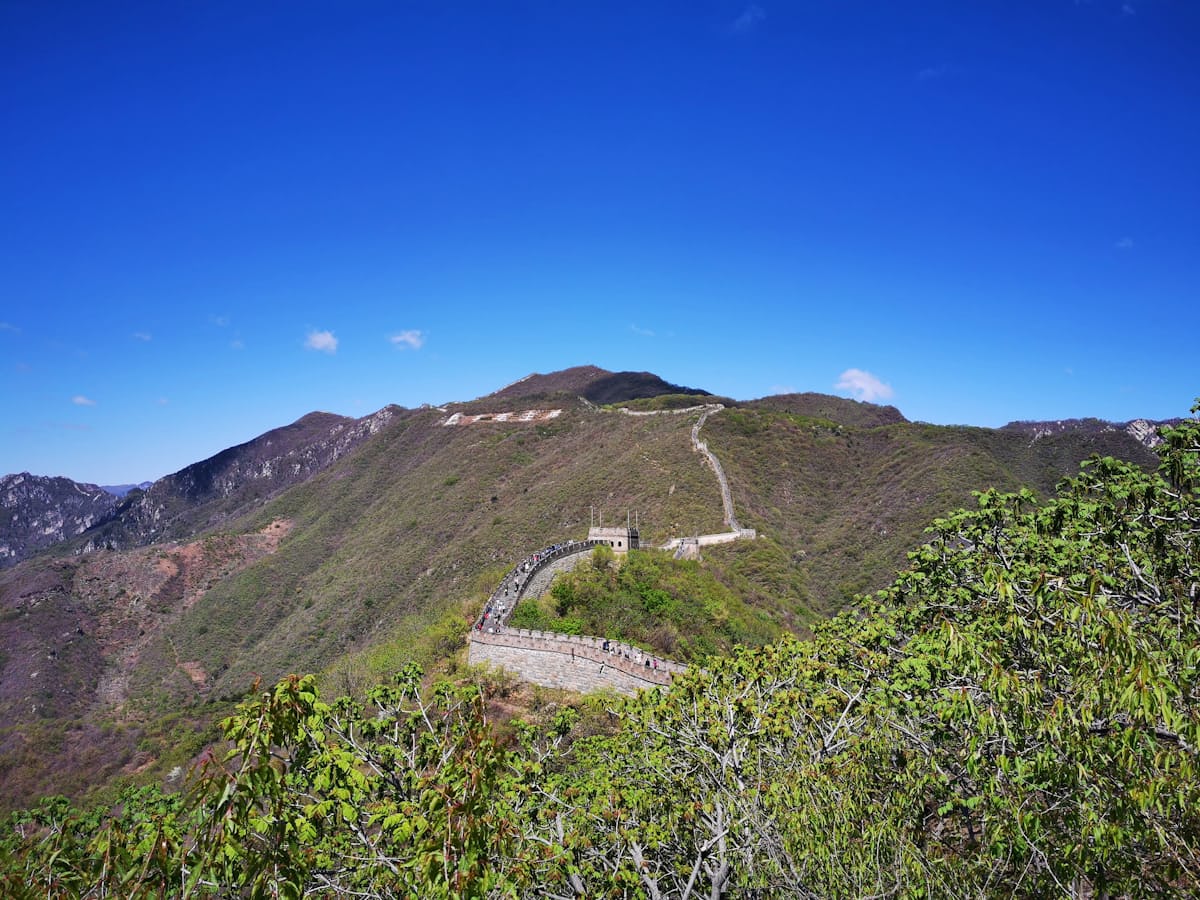 Site 48 ore