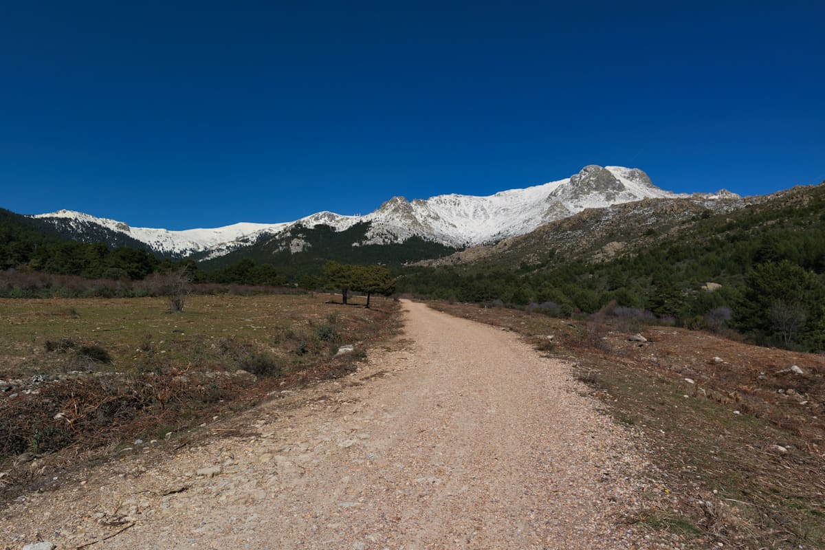 Site 48 ore